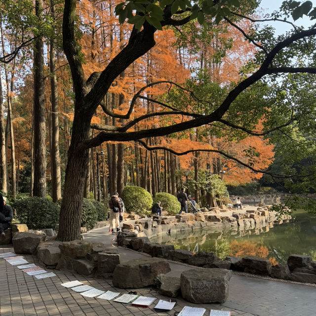 🌟 Hidden Gems at Shanghai’s People's Park!