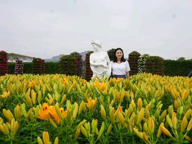 台中中社花海