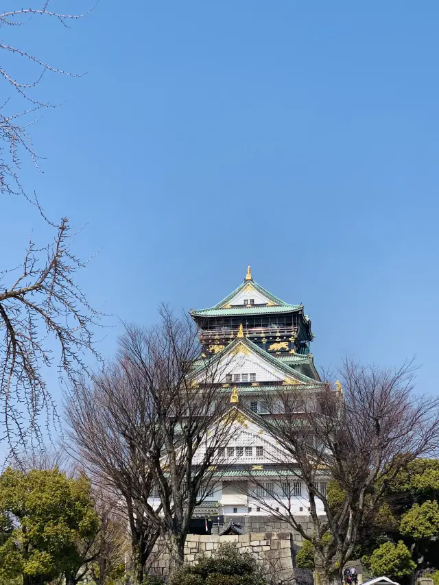 Japan Osaka Free Travel