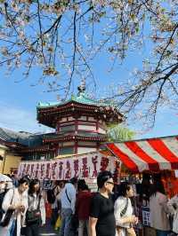 The Ultimate Cherry Blossom Spot! Ueno Park
