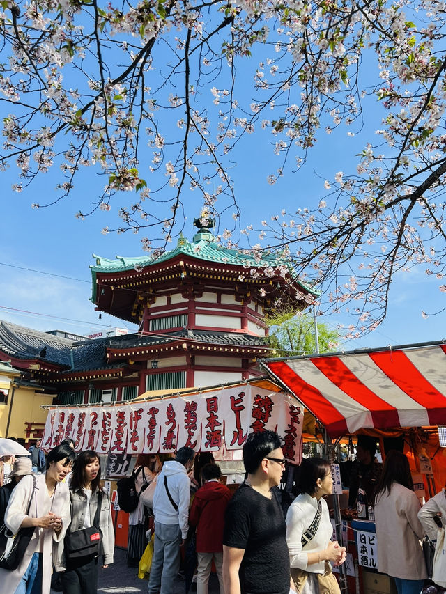 The Ultimate Cherry Blossom Spot! Ueno Park
