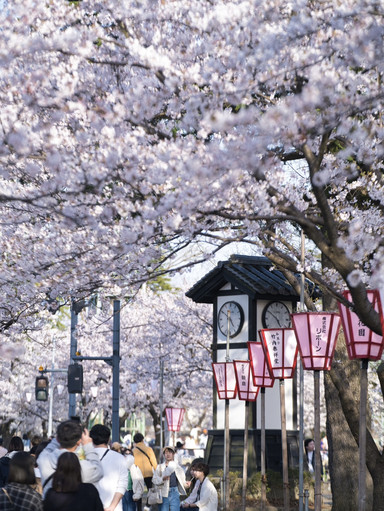 新潟】行かなきゃ損‼️ここが無料はおかしすぎる🤩 | Trip.com 上越市