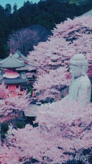 Tsubosaka Temple, Japan