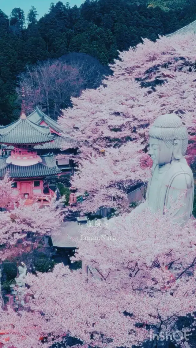Tsubosaka Temple, Japan