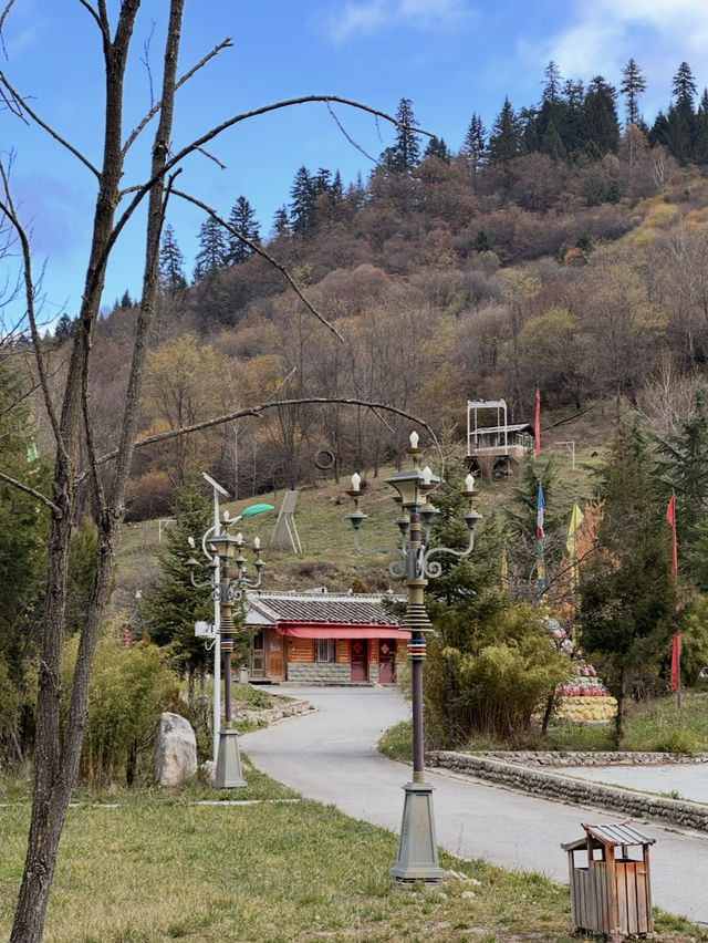 Culture Meets Art at ZhongCha Ditch