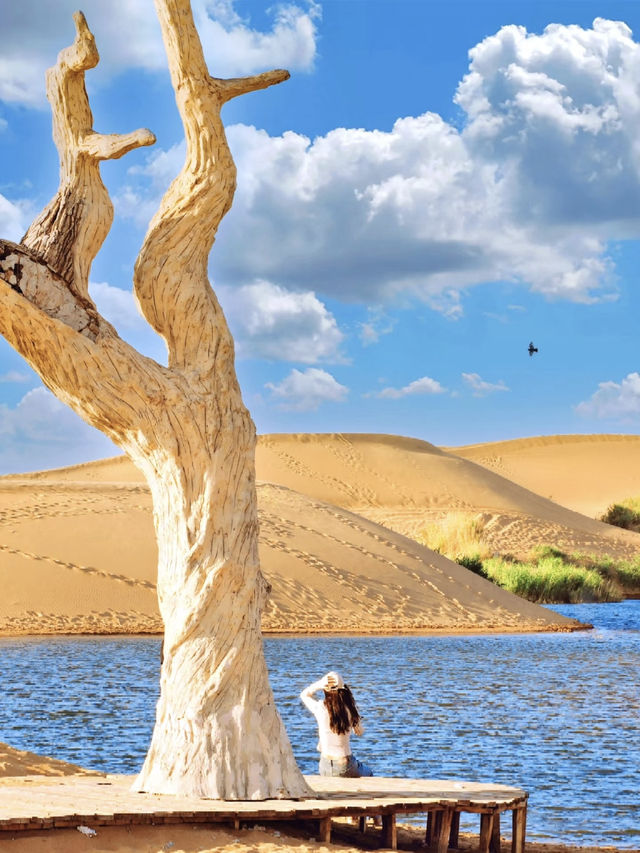 🏜️🌊 Have You Ever Seen the Ocean in the Desert?