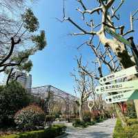 復興公園