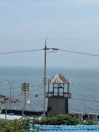 釜山｜4.8公里絕美海岸線 廢棄東海南部線變觀光熱點