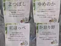 潜入"空飛ぶいちご"体験