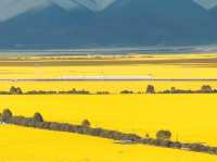 Exploring the Natural Wonders of Gansu and Qinghai, China