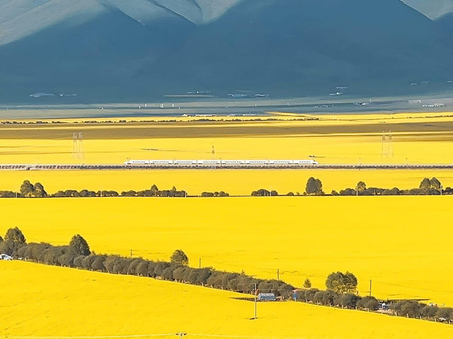 Exploring the Natural Wonders of Gansu and Qinghai, China