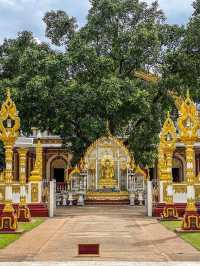 วัดพระธาตุหนองบัว