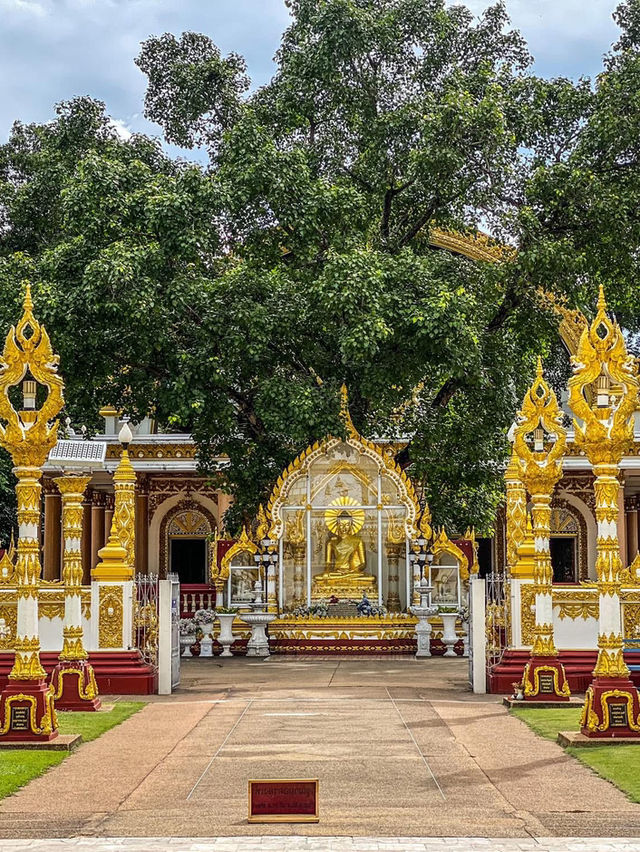 วัดพระธาตุหนองบัว