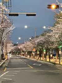 밤이 되면 더 화려해지는 대구의 랜드마크✨