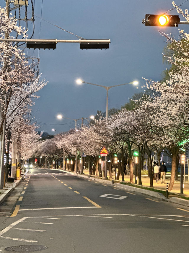 밤이 되면 더 화려해지는 대구의 랜드마크✨