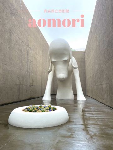 先週青森県立美術館に奈良美智さんの作品を観に行ってきました