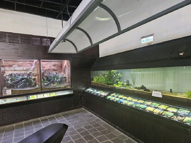 親近自然和學習生態知識的植物園
