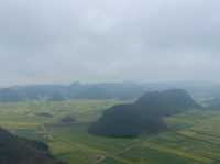 Luoping -the sea of flowers 