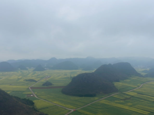 Luoping -the sea of flowers 