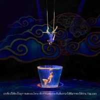 ไปชมโชว์กายกรรมสุดตื่นตาตื่นใจแสงสีสวย