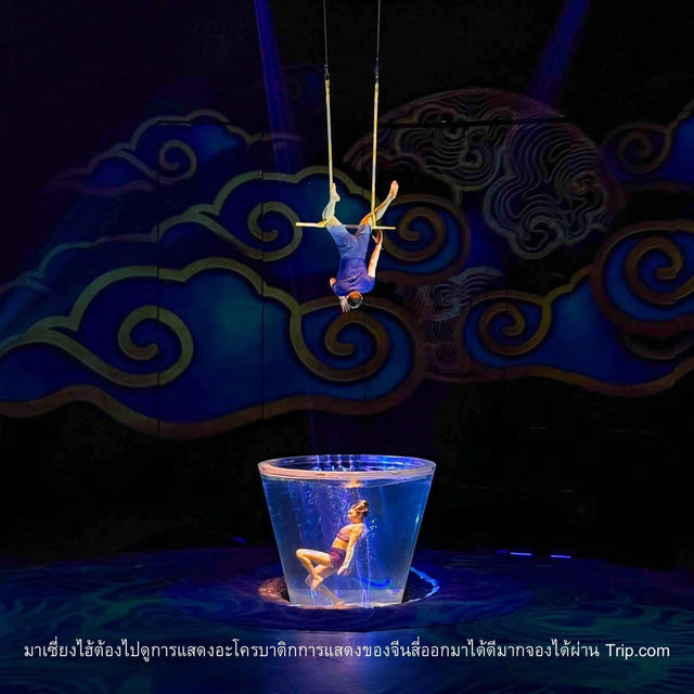 ไปชมโชว์กายกรรมสุดตื่นตาตื่นใจแสงสีสวย