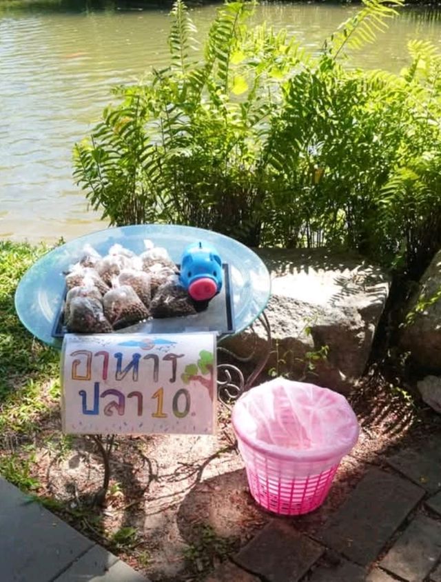 🥗คาเฟ่ขนมจีน ศรีราชา ชลบุรี🥗
