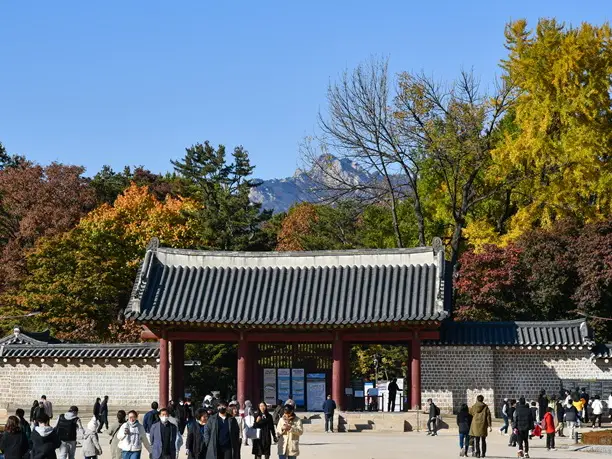 The autumn foliage at Seoul's Jongmyo Shrine