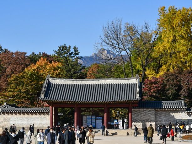 ソウル・宗廟（チョンミョ）の紅葉が見事すぎた