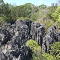 走進另一個世界｜Tsingy De Bemaraha National Park