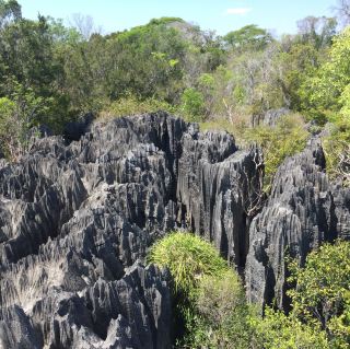 Enter another world｜Tsingy De Bemaraha National Park