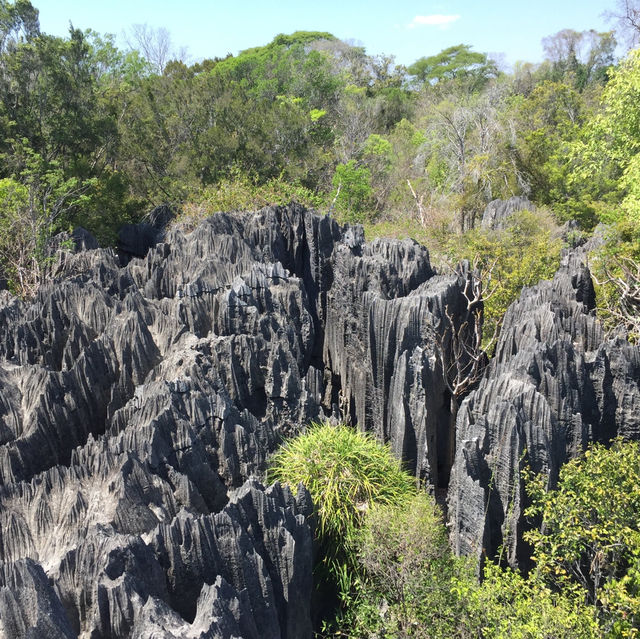 走進另一個世界｜Tsingy De Bemaraha National Park