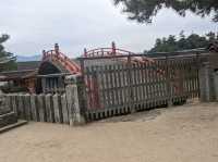 【広島】嚴島神社で海に浮かぶ鳥居を見る！