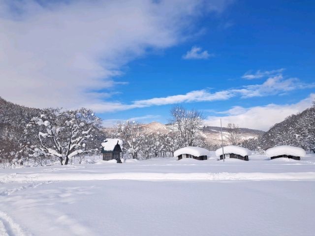 北海道旅遊🥳喜茂別路線雪場❄️自駕動力雪橇體驗分享😍欣賞羊蹄山沿途雪景🗻