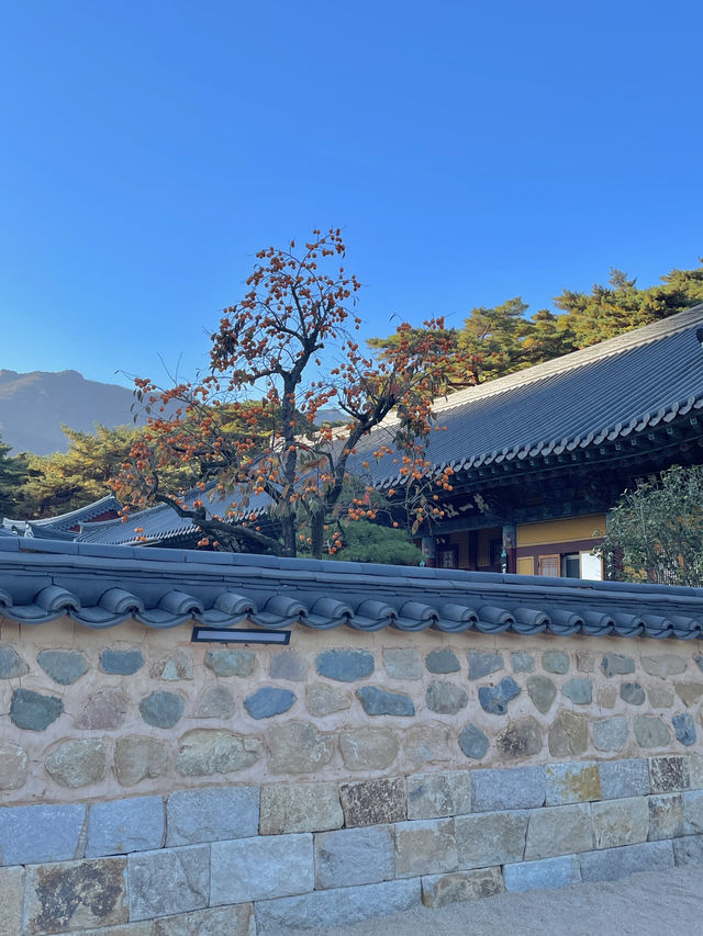 한국의 사찰을 처음 방문하는 외국인이라면!