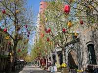 Half-Day Visit to Qingdao