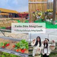 Du lịch NGHỆ AN