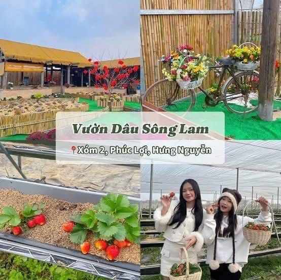 Du lịch NGHỆ AN