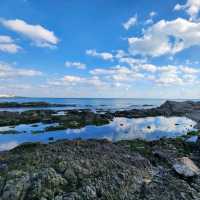 SEA ESSAY