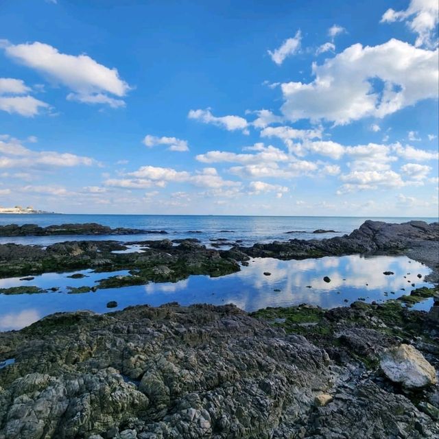 SEA ESSAY