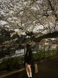 【東京】花見スポット3選🌸