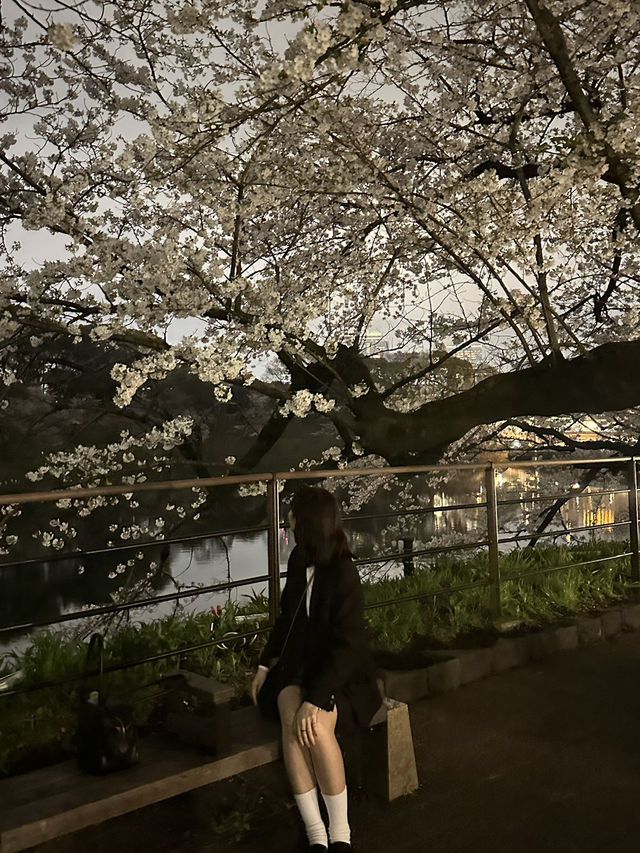 【東京】花見スポット3選🌸