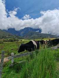 Celebrating earth day in Kundasang