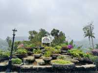 Gardens That Soothe the Soul