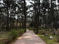 大王岩公園