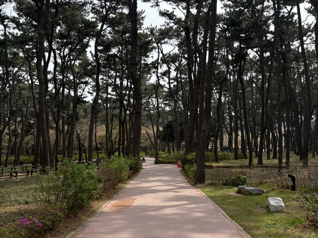 大王岩公園