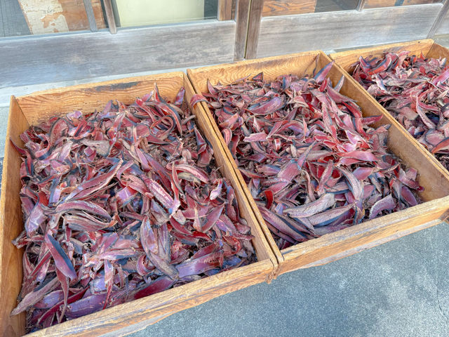 本当に美味しい鰹節が食べれる鰹節専門店