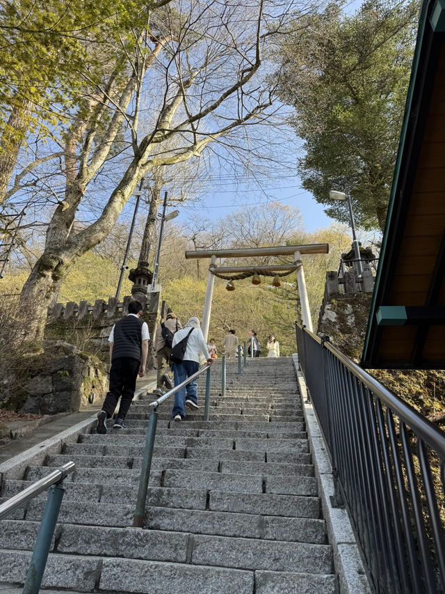  伊香保温泉の守り神「伊香保神社」—石段の頂上で願いを込める旅