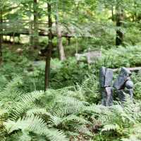 Peaceful Green Escapes to Explore in Birmingham 