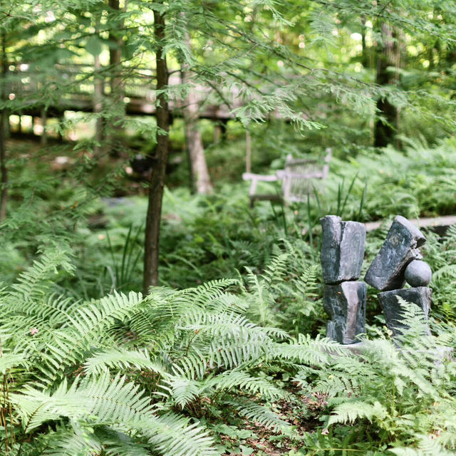 Peaceful Green Escapes to Explore in Birmingham 