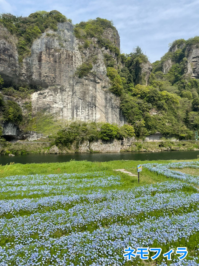 大分穴場スポット⭐️